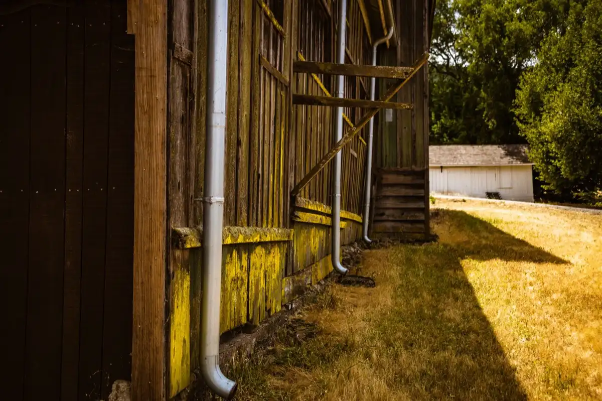 Fascia & Soffit Repair in Lakewood, CO